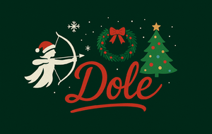 Tir festif de Noël🌲